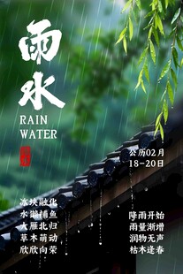 雨水节气古风海报