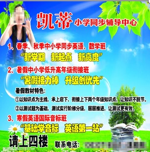 凯蒂小学辅导招生海报