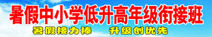 暑假中小学衔接班