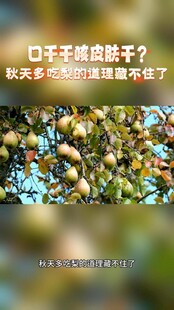 秋日润燥养生科普海报
