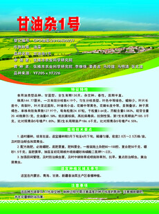 甘油杂1号品种介绍海报