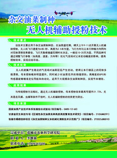 杂交油菜制种授粉技术