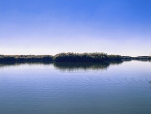 静谧湖景自然风光