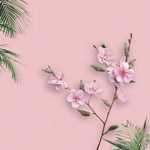 浅粉背景桃花枝素材