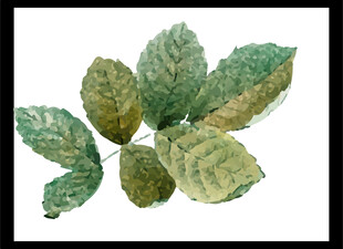 手绘复古植物叶片