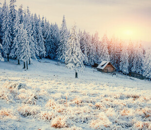 冬日雪林小屋晨光