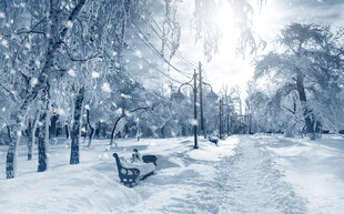 冬日公园雪景