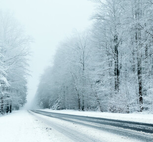雪天林间公路雪景