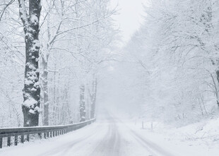 暴雪天林间公路雪景