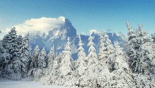 冬季雪山雾凇森林风光