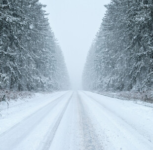 暴雪天林间积雪公路