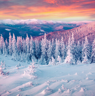 冬日雪原日落美景