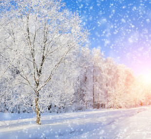 冬日雪后雾凇美景