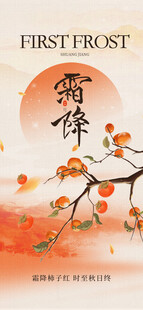 霜降节气柿子国风插画