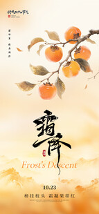 秋分节气国风柿子海报