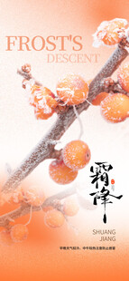霜降节气柿子海报