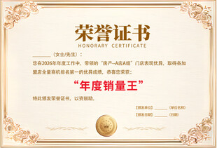 年度销量王荣誉证书