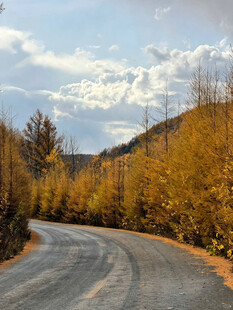 秋日山间公路风光