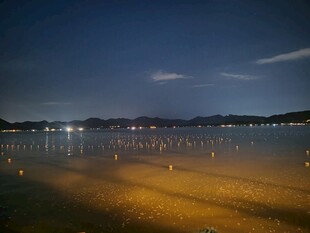 夜色湖岸沙滩风光