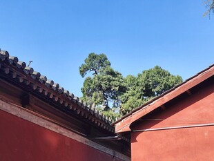 红墙古建蓝天风光