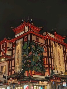 中式古楼夜景