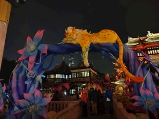 新春花灯夜景