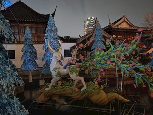 古建园林夜景风光