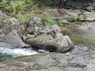 山涧溪流岩石景观
