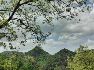 林间远眺山野风光