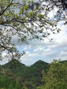 春日郊野山景