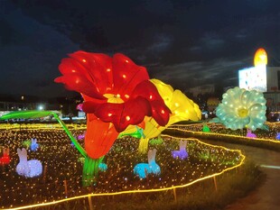 花卉造型夜景灯光展