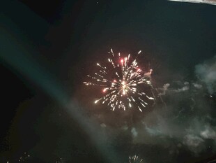夜空中绽放的烟花