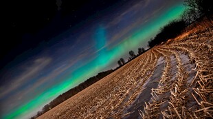 原野极光夜景