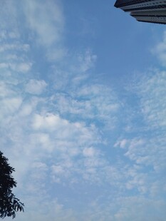 晴日蓝天薄云景象