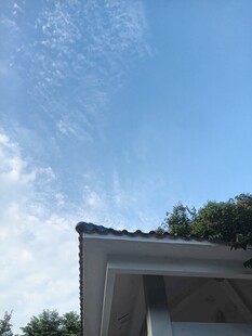 晴空下的建筑檐角