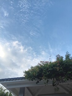 蓝天与屋边绿植风光