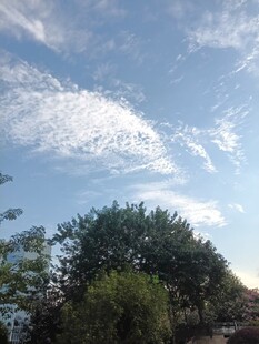蓝天绿树晴空美景