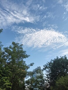 蓝天白云绿树自然风景