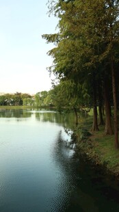 湖畔林间自然美景
