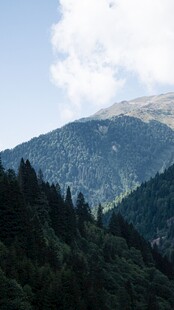 山林晴空自然景观