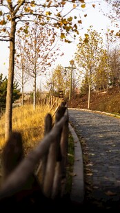 秋日郊野公路风光