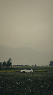郊野朦胧白车远景