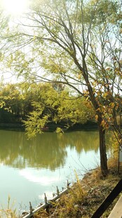 春日湖畔自然风景