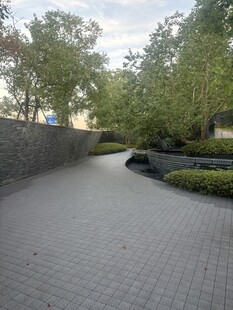 园林林荫步道景观