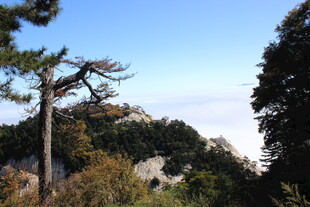 华山风景