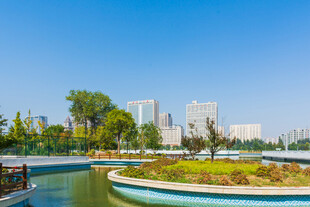 城市公园湖景风光