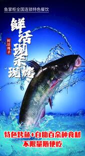 烤鱼海报