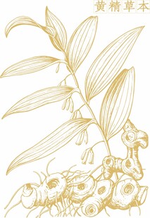 金色线描草本植物纹样