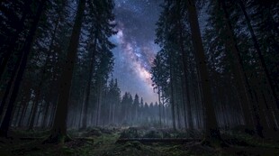 森林夜空银河美景
