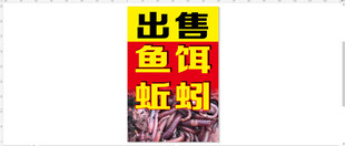 鱼饵